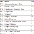 2013 AKC National Agility Championship YPS By Breed thumbnail