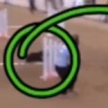 Karma vs Rush – AKC National Agility Championship Finals Analysis thumbnail
