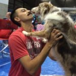 5 Tips for Trialing with Your Novice Agility Dog thumbnail