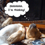 Episode 78: The Power of Latent Learning thumbnail