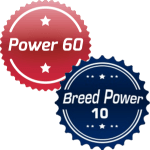 Episode 86: A Look at Rankings in Dog Agility thumbnail