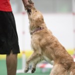 Episode 97: Improving Your Transitions During Training thumbnail