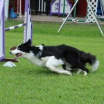 Episode 117: Drive for Agility (Three Aspects of Agility Training Part 2) thumbnail