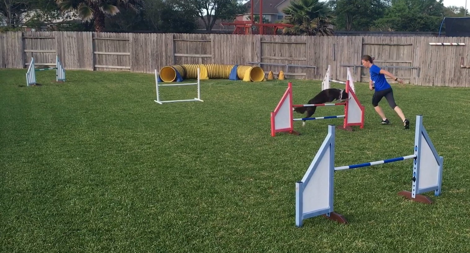 Handling Exercises for 2016 AKC Nationals 18 Choice