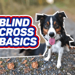 Blind Cross Basics thumbnail