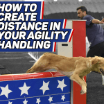 How to Create DISTANCE thumbnail