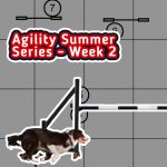 Agility Summer Series – Week 2 thumbnail