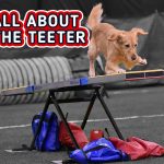 All About the Teeter thumbnail