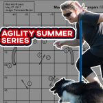 Agility Summer Series thumbnail