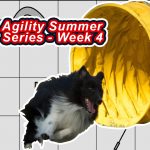 Agility Summer Series – Week 4 thumbnail