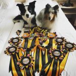 Episode 197: All About the World Agility Open, with Jennifer Crank thumbnail
