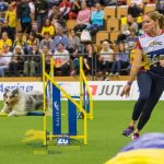 Episode 206: Three Lessons from the Agility World Championship thumbnail