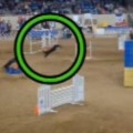 Pace vs Solar – AKC National Agility Championship Challengers Round Analysis thumbnail