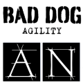 Bad Dog Agility and AgilityNerd: Where Amazing Happens thumbnail