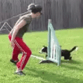 Building Value for Backsides With Your Puppy thumbnail