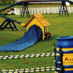 Episode 62: Celebrating 20 Years of AKC Agility thumbnail