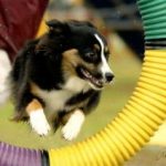 Episode 74: Training the Tire thumbnail