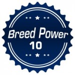 The Breed Power 10 for 2018 thumbnail