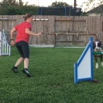 Episode 112: How to Run Agility Like a World Champion thumbnail