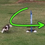 On the Job Training using Placement of Reward thumbnail
