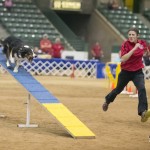 Episode 127: Interview with 2016 AKC 20″ National Agility Champion Sarah Baker thumbnail