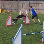 Handling Exercises for 2016 AKC Nationals #18 Choice thumbnail