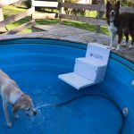 Episode 166: Get Ready for Summer with Brittany Schaezler, DVM thumbnail