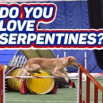 Do You Love Serpentines? thumbnail