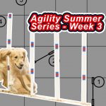 Agility Summer Series – Week 3 thumbnail