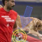 Episode 181: Should You Use a Clicker During Agility Training? thumbnail