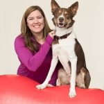 Episode 189: How to Structure Your Dog Agility Season thumbnail