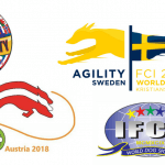 Episode 193: Who is the World Champion in Agility? thumbnail