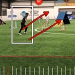 Creating the Best Line for Your Agility Dog thumbnail