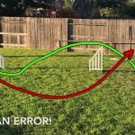 How to Help Your Agility Dog Get It Right thumbnail