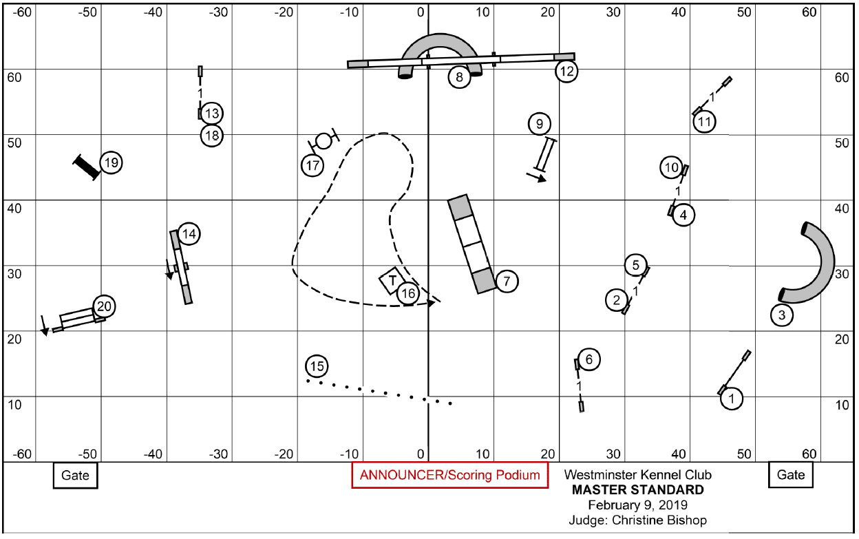 2019 Masters Agility Championship At Westminster Archive Bad Dog Agility 2019 Masters Agility Championship At Westminster Archive Bad Dog Agility