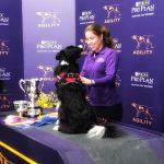 Episode 213: Interview with Westminster Champion Perry DeWitt thumbnail