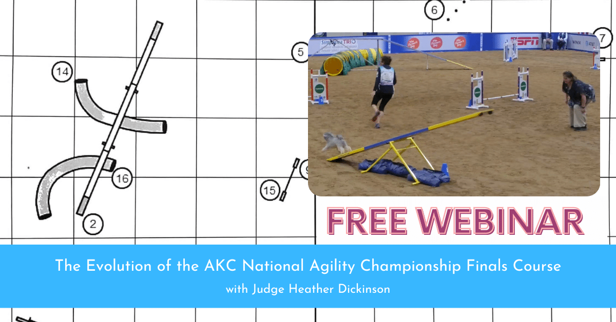 The Evolution of the AKC National Agility Championship Finals Course
