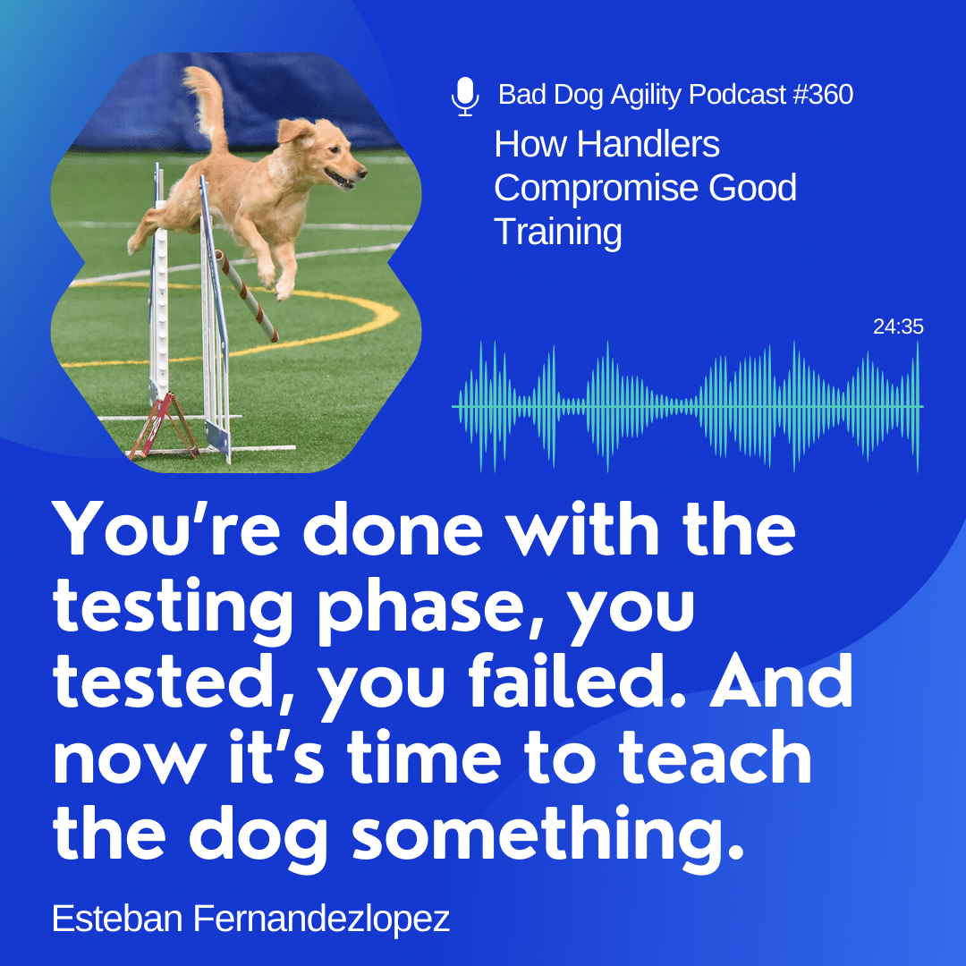 Bad Handler Episode 360: How Handlers Compromise Good Training - Bad Dog Agility