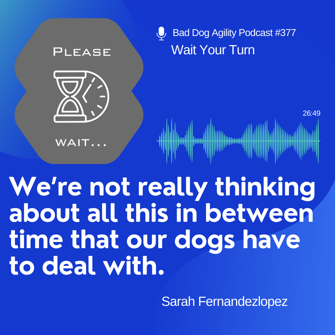 Episode 377: Wait Your Turn - Bad Dog Agility